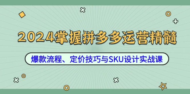 2024掌握拼多多运营精髓：爆款流程、定价技巧与SKU设计实战课-智赚网创