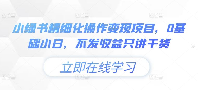 小绿书精细化操作变现项目，0基础小白，不发收益只讲干货-智赚网创