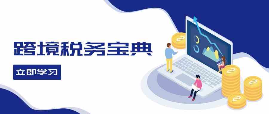 跨境税务宝典教程：跨境电商全球税务处理策略-智赚网创