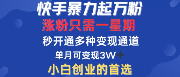 快手暴力起万粉，涨粉只需一星期，多种变现模式，直接秒开万合，单月变现过W【揭秘】-智赚网创