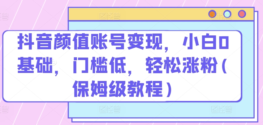 抖音颜值账号变现，小白0基础，门槛低，​轻松涨粉(保姆级教程)-智赚网创