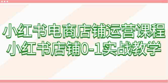 （9249期）小红书电商店铺运营课程，小红书店铺0-1实战教学（60节课）-智赚网创