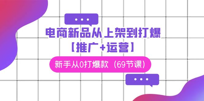 电商新品从上架到打爆【推广+运营】，新手从0打爆款（69节课）-智赚网创