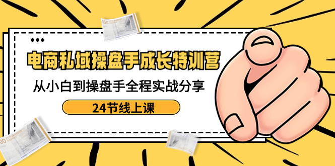 电商私域-操盘手成长特训营：从小白到操盘手全程实战分享-24节线上课-智赚网创