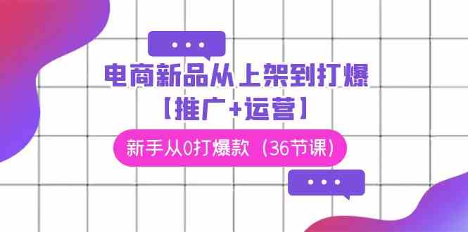 （9286期）电商 新品从上架到打爆【推广+运营】，新手从0打爆款（36节课）-智赚网创
