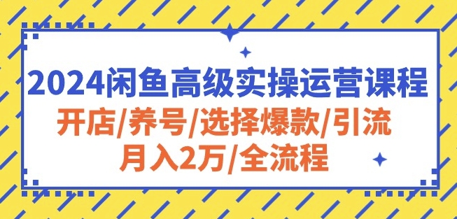 2024闲鱼高级实操运营课程：开店/养号/选择爆款/引流/月入2万/全流程-智赚网创