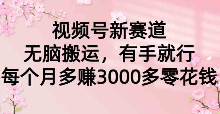 （9277期）视频号新赛道，无脑搬运，有手就行，每个月多赚3000多零花钱-智赚网创
