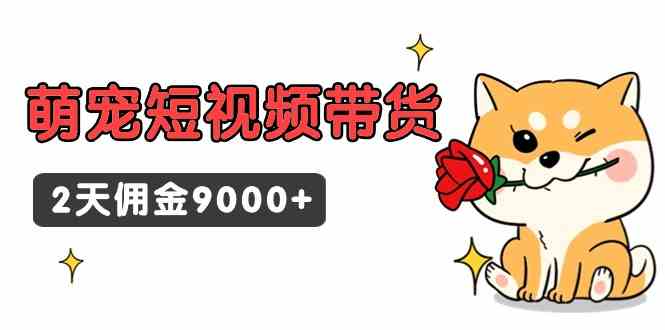 （9273期）东哲日记·萌宠短视频带货，2天佣金9000+-智赚网创