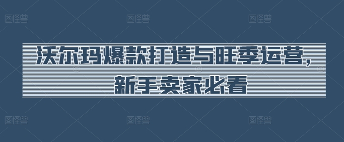 沃尔玛爆款打造与旺季运营，新手卖家必看-智赚网创