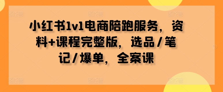 小红书1v1电商陪跑服务，资料+课程完整版，选品/笔记/爆单，全案课-智赚网创