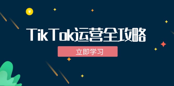 TikTok实战运营全攻略：从下载软件到变现，抖音海外版实操教程-智赚网创