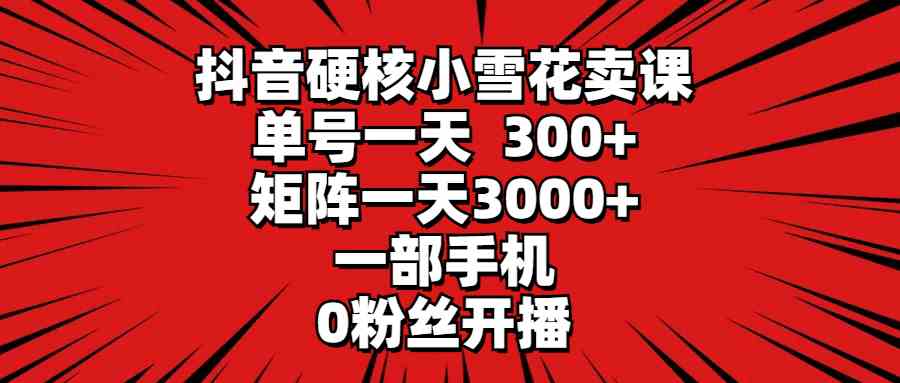（9551期）抖音硬核小雪花卖课，单号一天300+，矩阵一天3000+，一部手机0粉丝开播-智赚网创