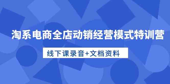 （10192期）淘系电商全店动销经营模式特训营，线下课录音+文档资料-智赚网创