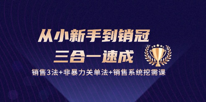 从小新手到销冠三合一速成：销售3法+非暴力关单法+销售系统挖需课 (27节)-智赚网创