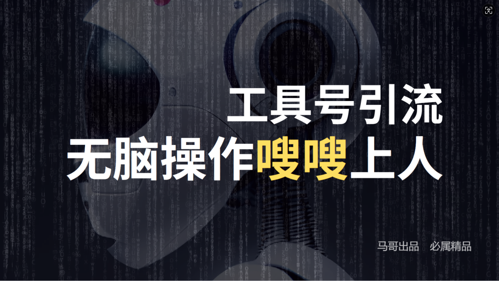 24年抖音最新工具号日引流300+创业粉，日入5000+-智赚网创