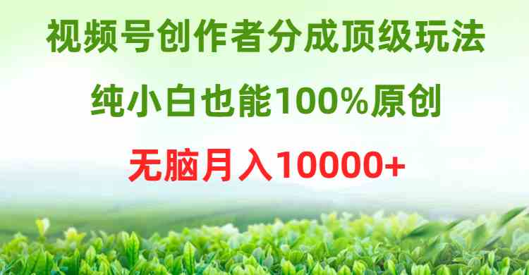 （9608期）视频号创作者分成顶级玩法，纯小白也能100%原创，无脑月入10000+-智赚网创
